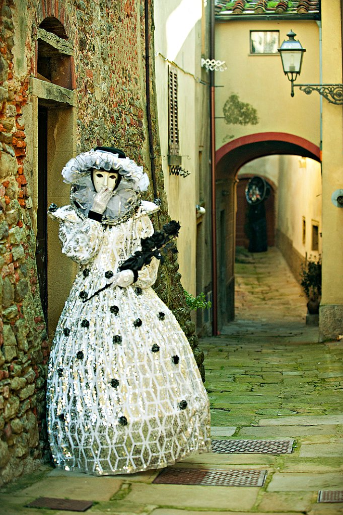 Castiglion Fibocchi Gennaio 2016 (74)corr.jpg